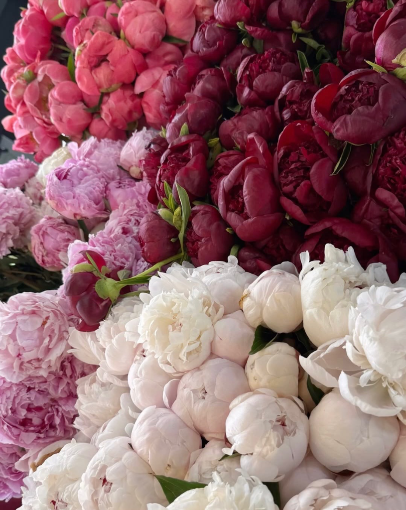 Bouquet de pivoines